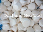 Sea Scallop Meat, Treated