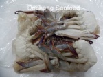 Swimming cut crab