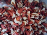 Frozen Cooked Propeller Clam Meat